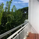 Holiday