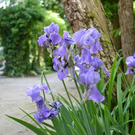 Holiday Milano Marittima