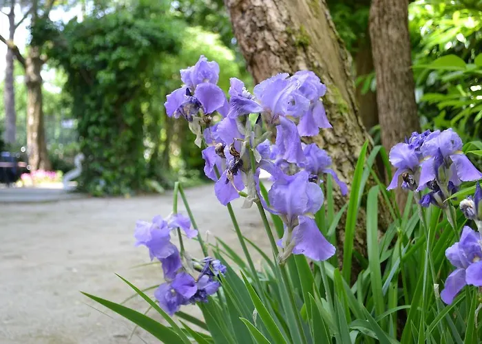 Holiday Milano Marittima